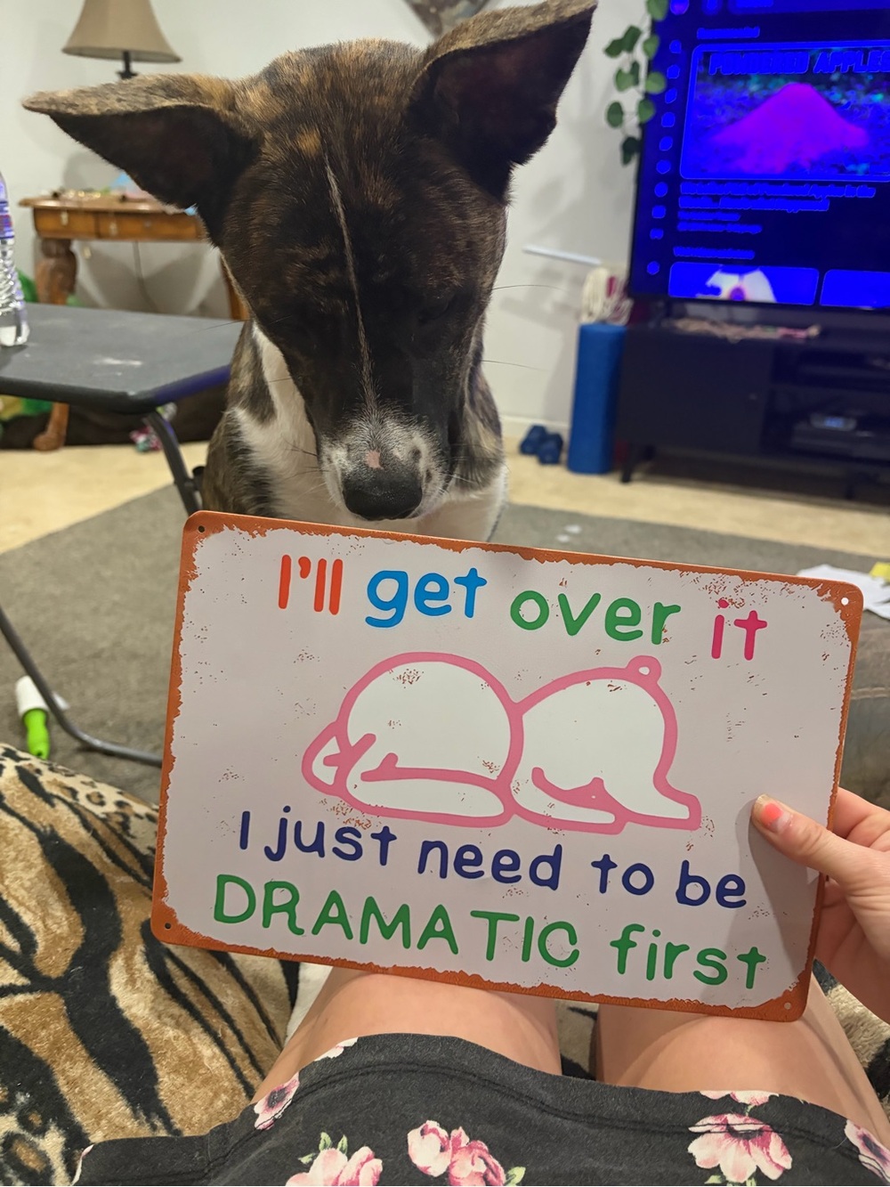Whimsical 'I'll Get Over It' Sign - White with Pink & Green Design